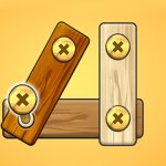 Nut Bolt Screw Puzzle Game